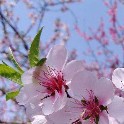 beat365手机版客户端